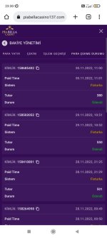 Screenshot_2022-11-30-23-30-11-309_com.android.chrome.jpg