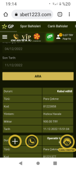 Screenshot_20221211-191438.png