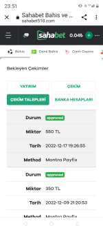 Screenshot_20221217-235115.png
