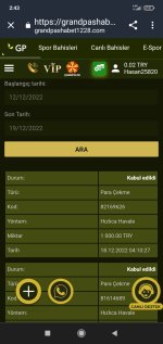 Screenshot_2022-12-19-02-43-24-074_com.android.chrome.jpg