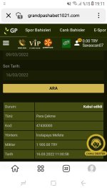 Screenshot_20220316-191123.jpg