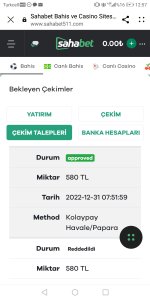 Screenshot_20221231-125754.jpg