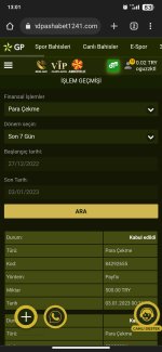 Screenshot_2023-01-03-13-01-36-031_com.android.chrome.jpg