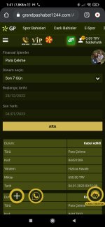 Screenshot_2023-01-04-01-41-41-010_com.android.chrome.jpg