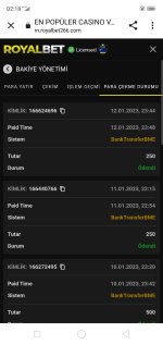 Screenshot_2023-01-13-02-18-08-57.jpg