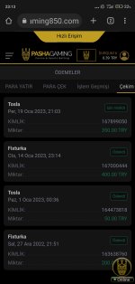 Screenshot_2023-01-19-23-13-37-378_com.android.chrome.jpg
