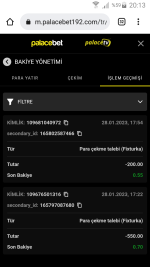 Screenshot_2023-01-28-20-13-14.png