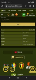 Screenshot_2023-02-12-12-51-05-813_com.android.chrome.jpg