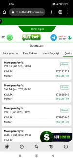 Screenshot_2023-02-16-00-56-21-945_com.android.chrome.jpg