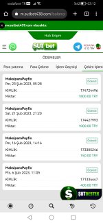 Screenshot_20230224_031200_com.android.chrome.jpg