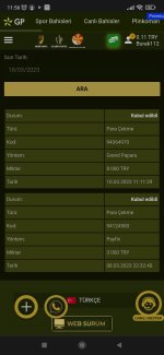 Screenshot_2023-03-10-11-56-50-556_com.android.chrome.jpg