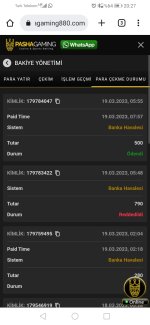 Screenshot_20230319_202755_com.android.chrome.jpg