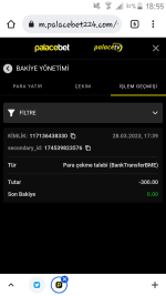 Screenshot_2023-03-28-18-55-06.png