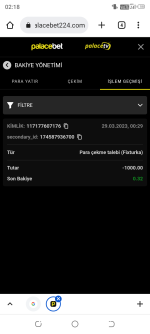 Screenshot_20230329-021827.png