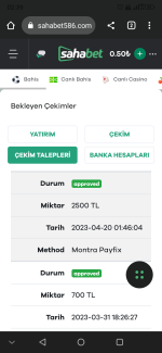 Screenshot_20230420-023925.png
