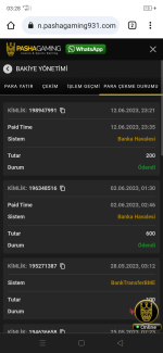Screenshot_2023-06-13-03-28-57-55.png