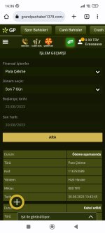 Screenshot_2023-08-30-16-06-39-100_com.android.chrome.jpg