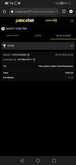 Screenshot_20230910_012748_com.android.chrome.jpg