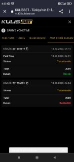Screenshot_2023-10-13-04-23-19-507_com.android.chrome.jpg