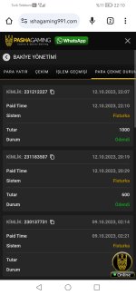 Screenshot_20231012_221032_com.android.chrome.jpg