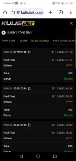 Screenshot_20231031-211845.jpg