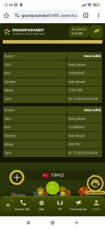 Screenshot_2023-12-03-21-46-19-717_com.android.chrome.jpg