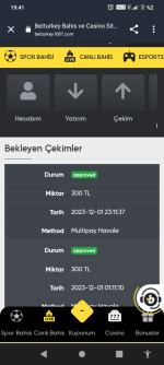Screenshot_20231205-194139.png