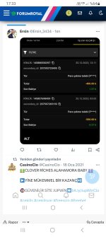 Screenshot_20231226_173329_Samsung Internet.jpg