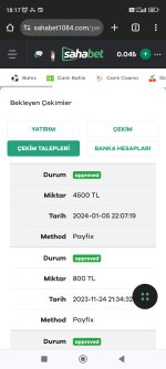 Screenshot_2024-01-06-18-17-39-762_com.android.chrome.jpg