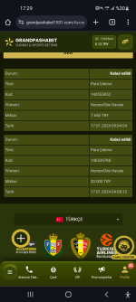 Screenshot_20240117-172927_Chrome.png