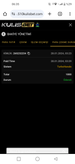 Screenshot_20240128-063526.png